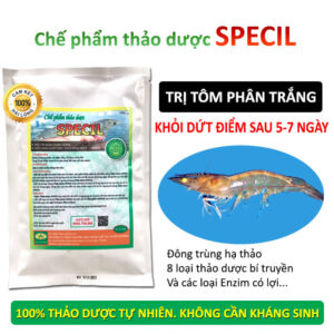 Chế phẩm thảo dược SPECIL đặc trị bệnh phân trắng