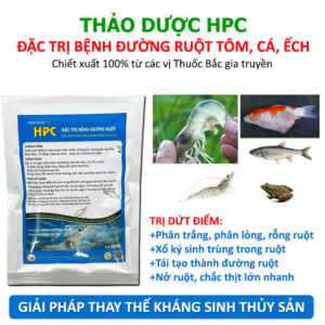Thuốc thảo dược trị bệnh đường ruột thủy sản HPC