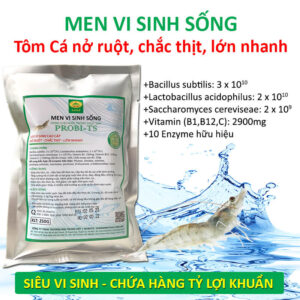 Vi sinh đường ruột cho Tôm