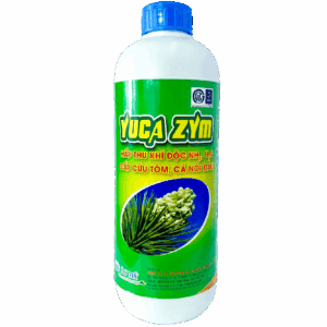 Yuca Zym - Hấp thụ khí độc NH3, H2S